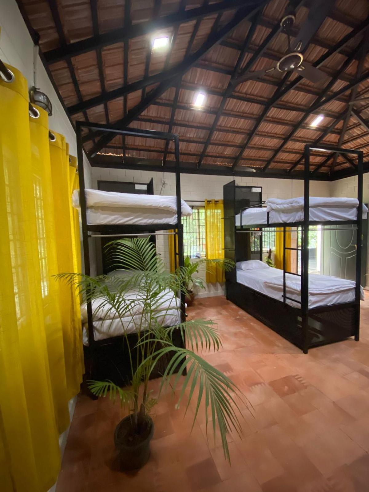 Benomadic Eco Hostel, Madikeri, Coorg Suntikoppa Exteriör bild