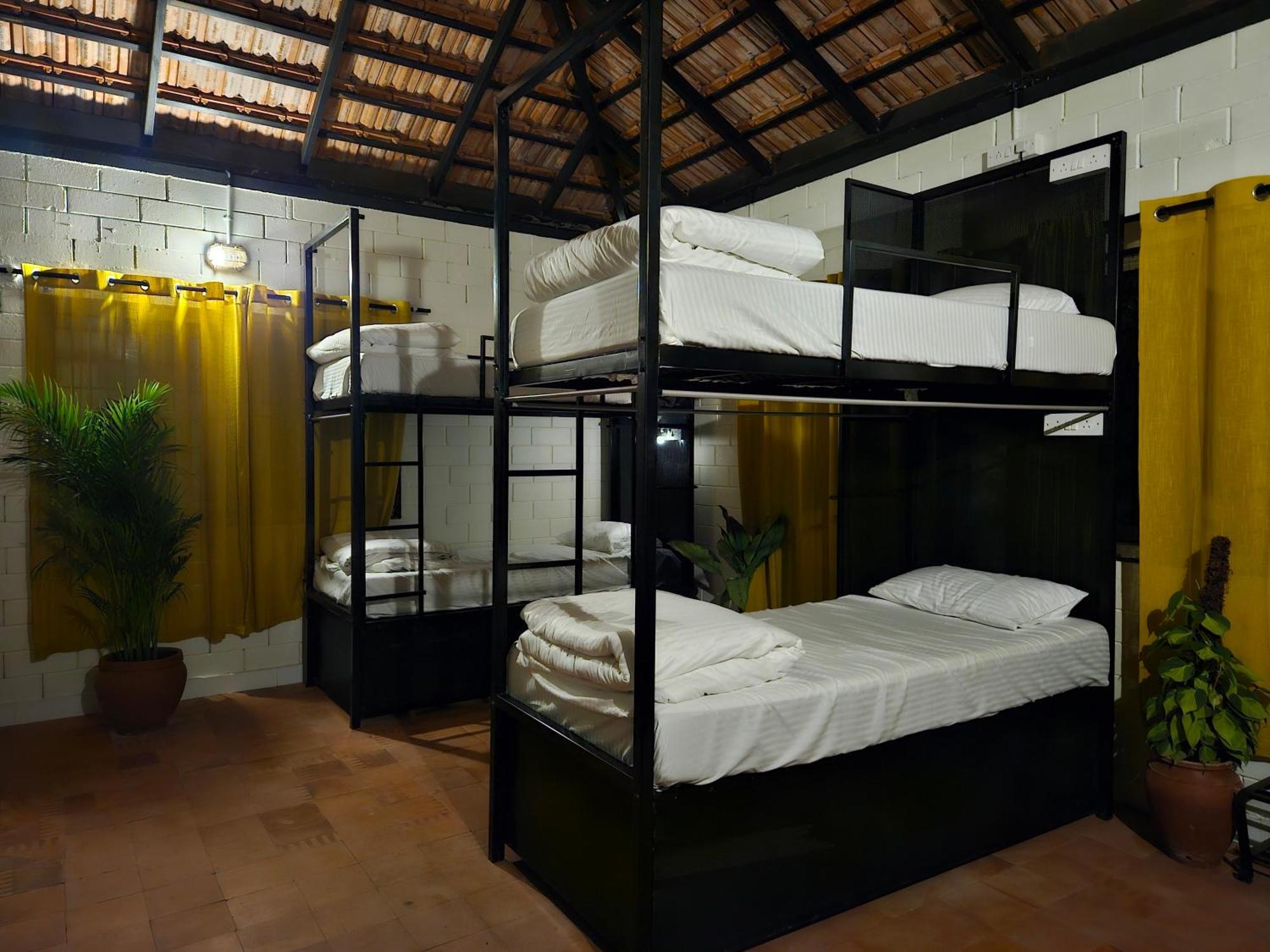 Benomadic Eco Hostel, Madikeri, Coorg Suntikoppa Exteriör bild