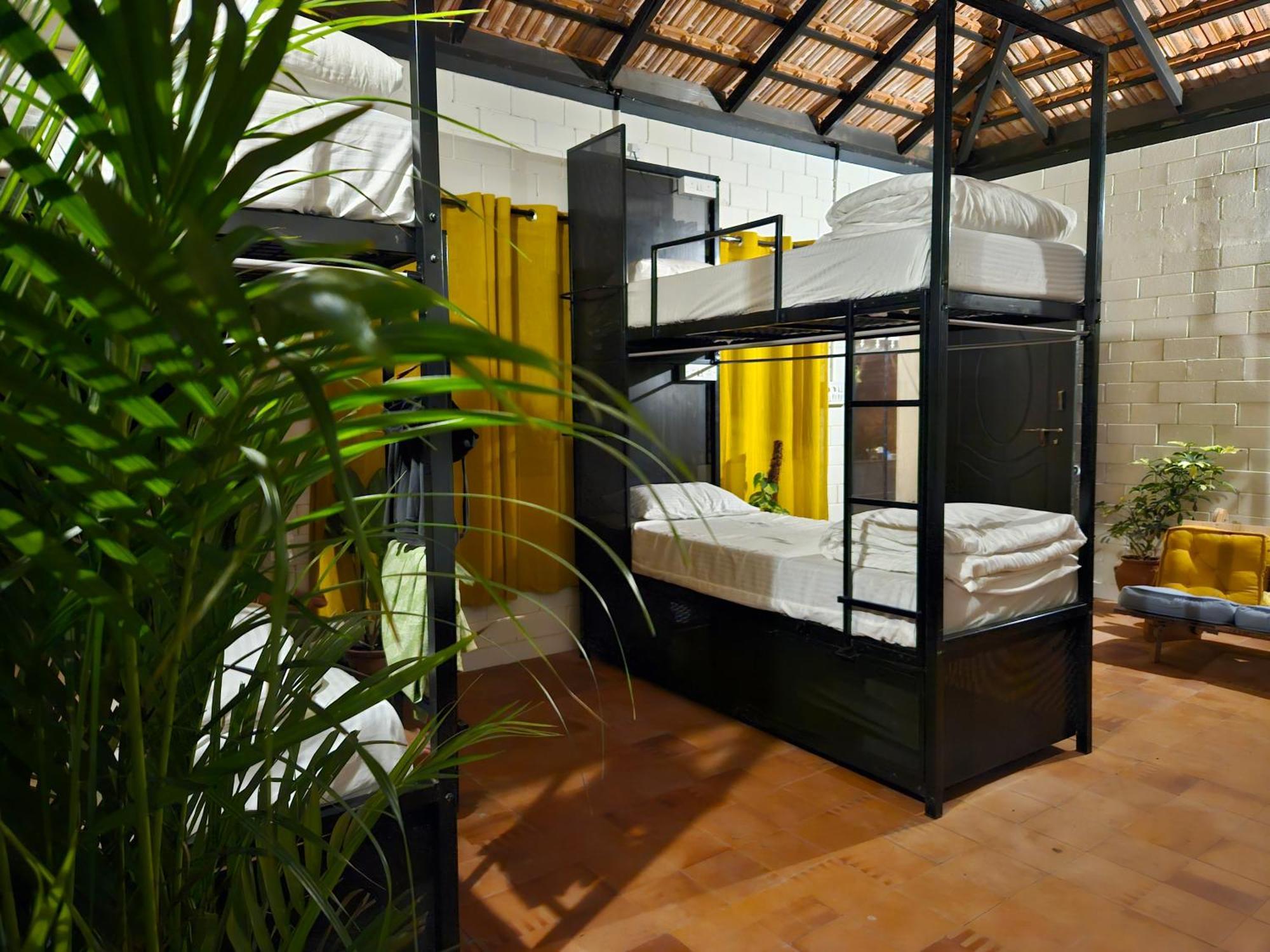 Benomadic Eco Hostel, Madikeri, Coorg Suntikoppa Exteriör bild