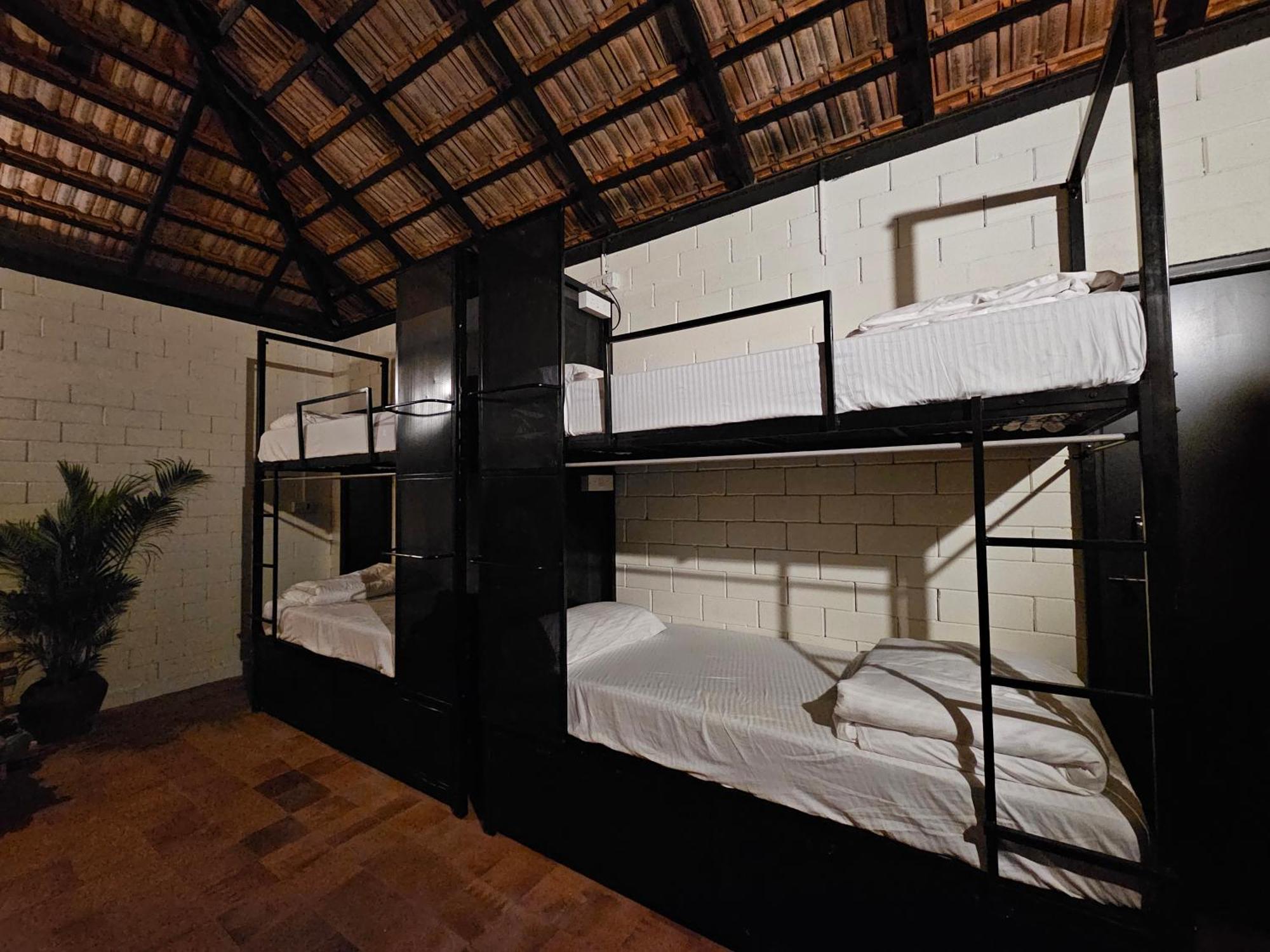 Benomadic Eco Hostel, Madikeri, Coorg Suntikoppa Exteriör bild